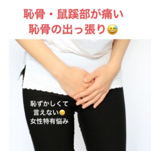 恥骨・鼠径部が痛い